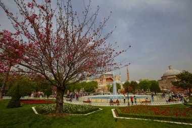 Sultanahmet Meydanı Lale Festivali her yıl nisan ayında gerçekleşir