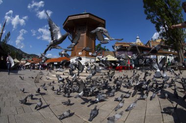 Saraybosna 'nın kalbi olan Bascarsija' nın merkezinde yer alan Sebilj Çeşmesi, 1753 yılında Mehmet Paşa Kukavica tarafından inşa edildi..