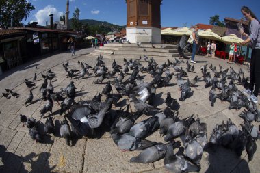Saraybosna 'nın kalbi olan Bascarsija' nın merkezinde yer alan Sebilj Çeşmesi, 1753 yılında Mehmet Paşa Kukavica tarafından inşa edildi..