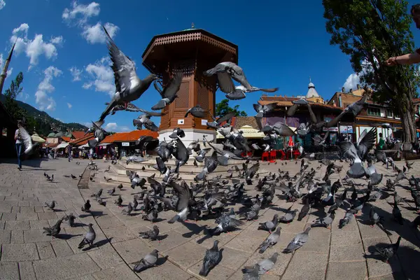 Saraybosna 'nın kalbi olan Bascarsija' nın merkezinde yer alan Sebilj Çeşmesi, 1753 yılında Mehmet Paşa Kukavica tarafından inşa edildi..