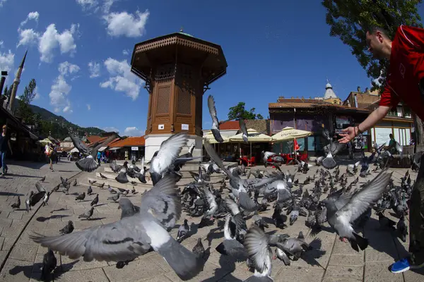 Saraybosna 'nın kalbi olan Bascarsija' nın merkezinde yer alan Sebilj Çeşmesi, 1753 yılında Mehmet Paşa Kukavica tarafından inşa edildi..