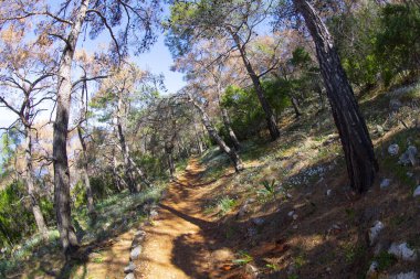 Gelidonya ya da Sohbet Burnu Deniz feneri, resmi adıyla deniz seviyesinden yaklaşık 227 metre yükseklikte..