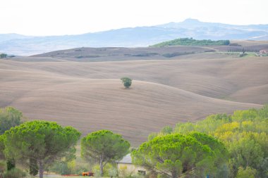 Toskana, Veneto 'dan sonra İtalya' nın en popüler ikinci bölgesi..
