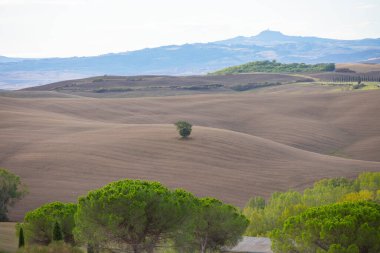 Toskana, Veneto 'dan sonra İtalya' nın en popüler ikinci bölgesi..