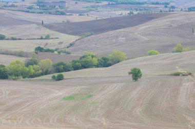 Toskana, Veneto 'dan sonra İtalya' nın en popüler ikinci bölgesi..