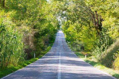 Toskana, Veneto 'dan sonra İtalya' nın en popüler ikinci bölgesi..