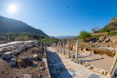 Efes, Anadolu 'nun batı kıyısında, günümüzün Selcuk ilçesine 3 km uzaklıkta, daha sonra önemli bir Roma kenti olan antik bir Yunan kentiydi..