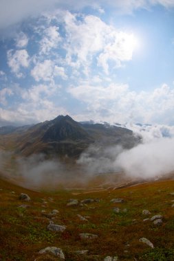 Trovit Platosu (Ermenice: -Trovit), Rize 'nin merkezine 64 km uzaklıkta bulunan bir plato..