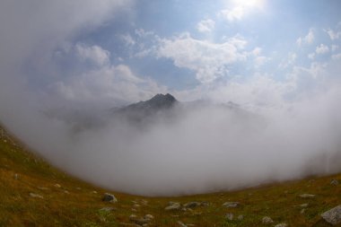 Trovit Platosu (Ermenice: -Trovit), Rize 'nin merkezine 64 km uzaklıkta bulunan bir plato..