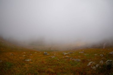 Trovit Platosu (Ermenice: -Trovit), Rize 'nin merkezine 64 km uzaklıkta bulunan bir plato..