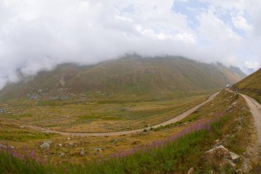 Trovit Platosu (Ermenice: -Trovit), Rize 'nin merkezine 64 km uzaklıkta bulunan bir plato..