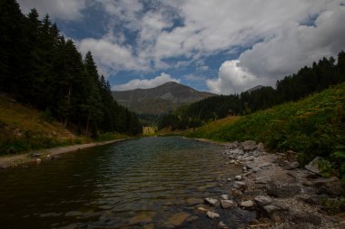 Artvin 'in avat bölgesindeki Balkl GI kamp alanı ile Artvin şehir merkezi arasındaki mesafe 96 kilometre..