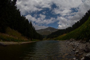 Artvin 'in avat bölgesindeki Balkl GI kamp alanı ile Artvin şehir merkezi arasındaki mesafe 96 kilometre..