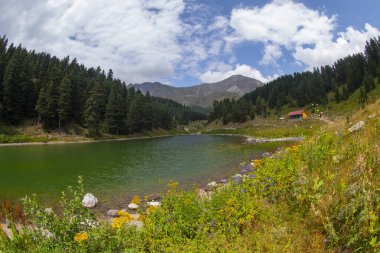 Artvin 'in avat bölgesindeki Balkl GI kamp alanı ile Artvin şehir merkezi arasındaki mesafe 96 kilometre..