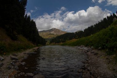 Artvin 'in avat bölgesindeki Balkl GI kamp alanı ile Artvin şehir merkezi arasındaki mesafe 96 kilometre..