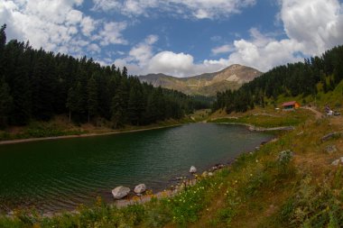 Artvin 'in avat bölgesindeki Balkl GI kamp alanı ile Artvin şehir merkezi arasındaki mesafe 96 kilometre..