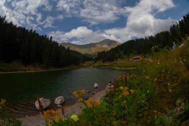 Artvin 'in avat bölgesindeki Balkl GI kamp alanı ile Artvin şehir merkezi arasındaki mesafe 96 kilometre..