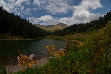 Artvin 'in avat bölgesindeki Balkl GI kamp alanı ile Artvin şehir merkezi arasındaki mesafe 96 kilometre..