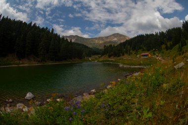 Artvin 'in avat bölgesindeki Balkl GI kamp alanı ile Artvin şehir merkezi arasındaki mesafe 96 kilometre..