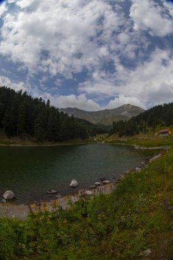 Artvin 'in avat bölgesindeki Balkl GI kamp alanı ile Artvin şehir merkezi arasındaki mesafe 96 kilometre..