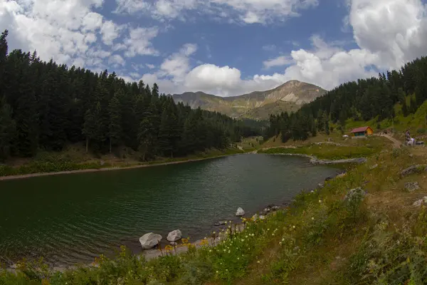 Artvin 'in avat bölgesindeki Balkl GI kamp alanı ile Artvin şehir merkezi arasındaki mesafe 96 kilometre..