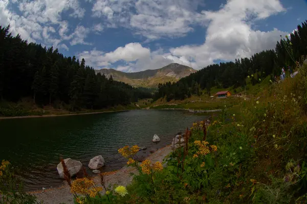 Artvin 'in avat bölgesindeki Balkl GI kamp alanı ile Artvin şehir merkezi arasındaki mesafe 96 kilometre..