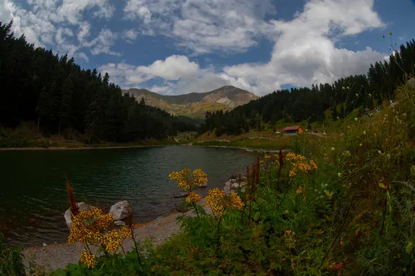 Artvin 'in avat bölgesindeki Balkl GI kamp alanı ile Artvin şehir merkezi arasındaki mesafe 96 kilometre..