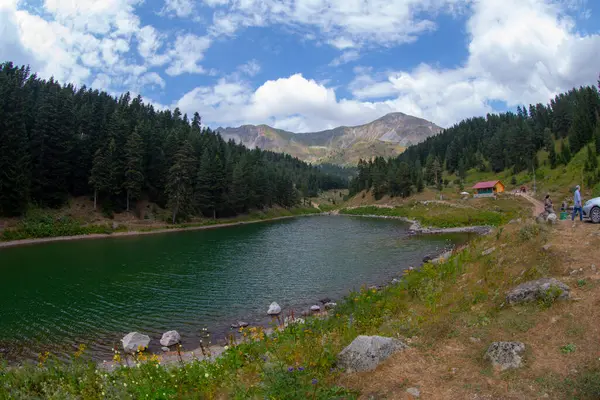 Artvin 'in avat bölgesindeki Balkl GI kamp alanı ile Artvin şehir merkezi arasındaki mesafe 96 kilometre..