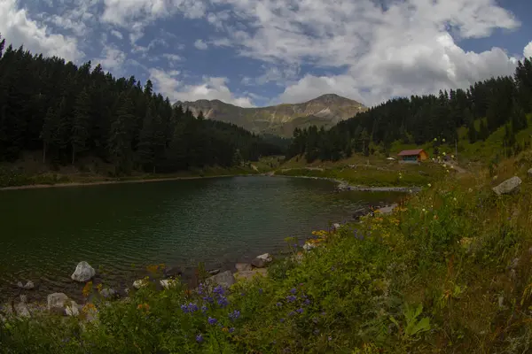 Artvin 'in avat bölgesindeki Balkl GI kamp alanı ile Artvin şehir merkezi arasındaki mesafe 96 kilometre..