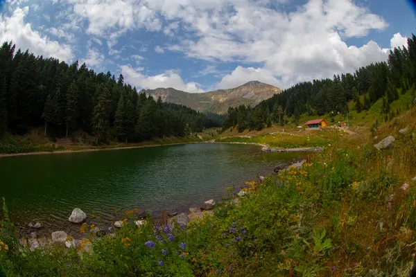 Artvin 'in avat bölgesindeki Balkl GI kamp alanı ile Artvin şehir merkezi arasındaki mesafe 96 kilometre..