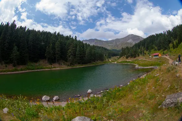 Artvin 'in avat bölgesindeki Balkl GI kamp alanı ile Artvin şehir merkezi arasındaki mesafe 96 kilometre..
