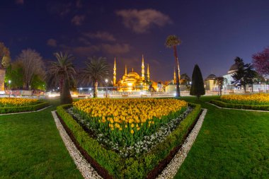İstanbul Sultanahmet Meydanı 'nda Lale Festivali