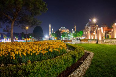 İstanbul Sultanahmet Meydanı 'nda Lale Festivali