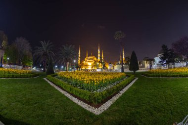 İstanbul Sultanahmet Meydanı 'nda Lale Festivali
