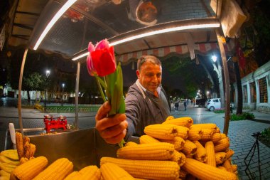 İstanbul Sultanahmet Meydanı 'nda Lale Festivali