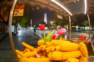 İstanbul Sultanahmet Meydanı 'nda Lale Festivali
