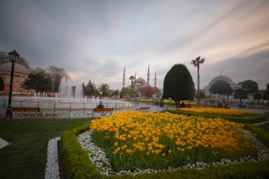 İstanbul Sultanahmet Meydanı 'nda Lale Festivali