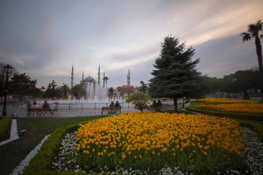 İstanbul Sultanahmet Meydanı 'nda Lale Festivali