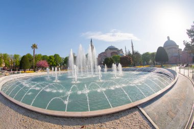İstanbul Sultanahmet Meydanı 'nda Lale Festivali
