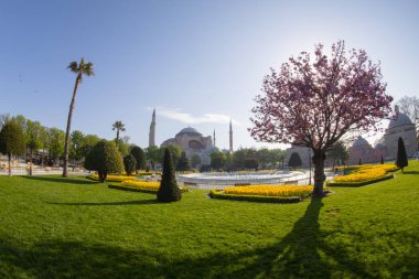 İstanbul Sultanahmet Meydanı 'nda Lale Festivali
