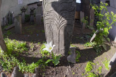 İstanbul Sultanahmet Meydanı 'nda Lale Festivali