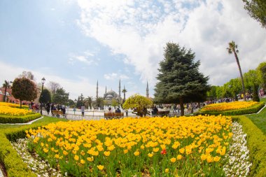 İstanbul Sultanahmet Meydanı 'nda Lale Festivali