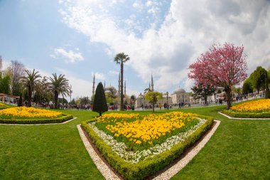 İstanbul Sultanahmet Meydanı 'nda Lale Festivali