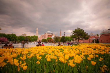 İstanbul Sultanahmet Meydanı 'nda Lale Festivali