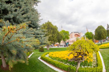 İstanbul Sultanahmet Meydanı 'nda Lale Festivali