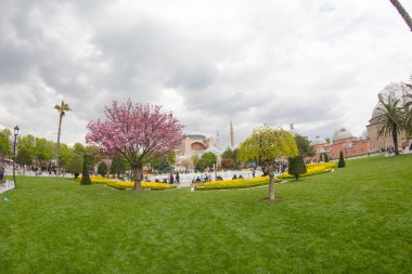 İstanbul Sultanahmet Meydanı 'nda Lale Festivali