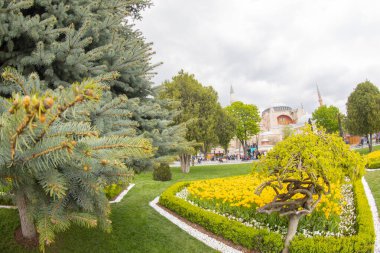 İstanbul Sultanahmet Meydanı 'nda Lale Festivali