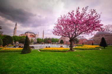 İstanbul Sultanahmet Meydanı 'nda Lale Festivali