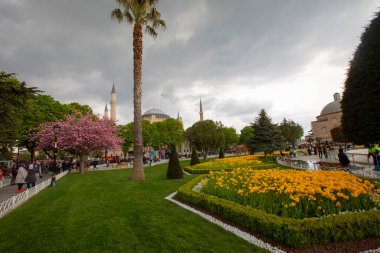 İstanbul Sultanahmet Meydanı 'nda Lale Festivali