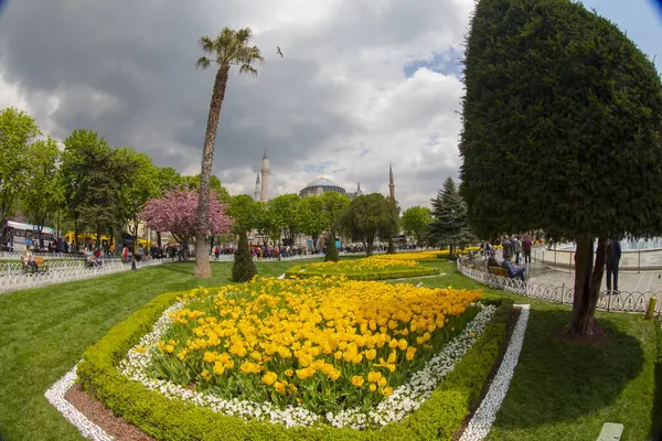 İstanbul Sultanahmet Meydanı 'nda Lale Festivali